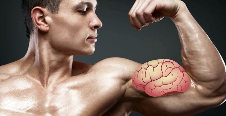 Risposte molecolari diverse nei muscoli umani allenati e non allenati